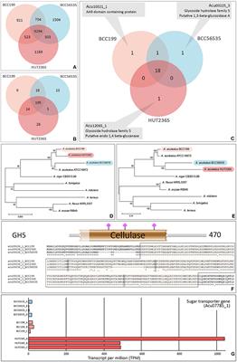 High Quality Aspergillus aculeatus Genomes and Transcriptomes: A Platform for Cellulase Activity Optimization Toward Industrial Applications